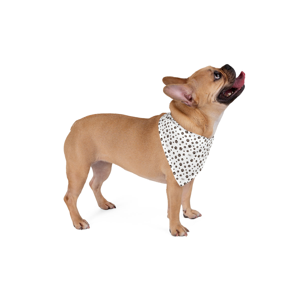 The Walking Pup Bandana - Espresso